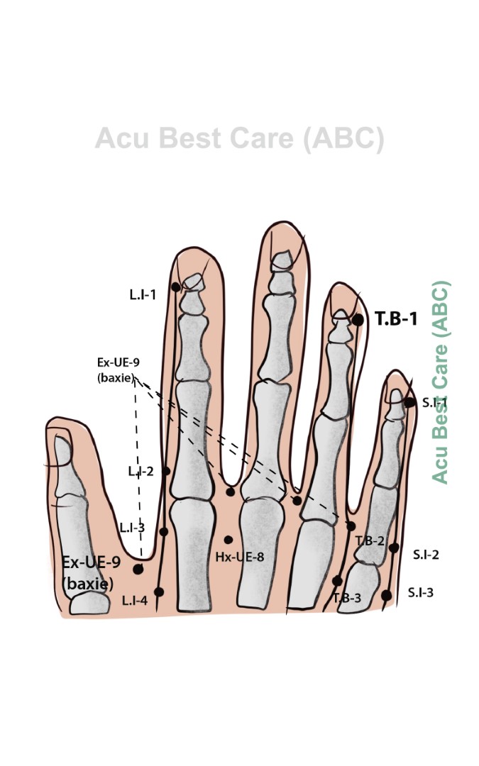 Acubestcare Meridian TW-01 or TB-01